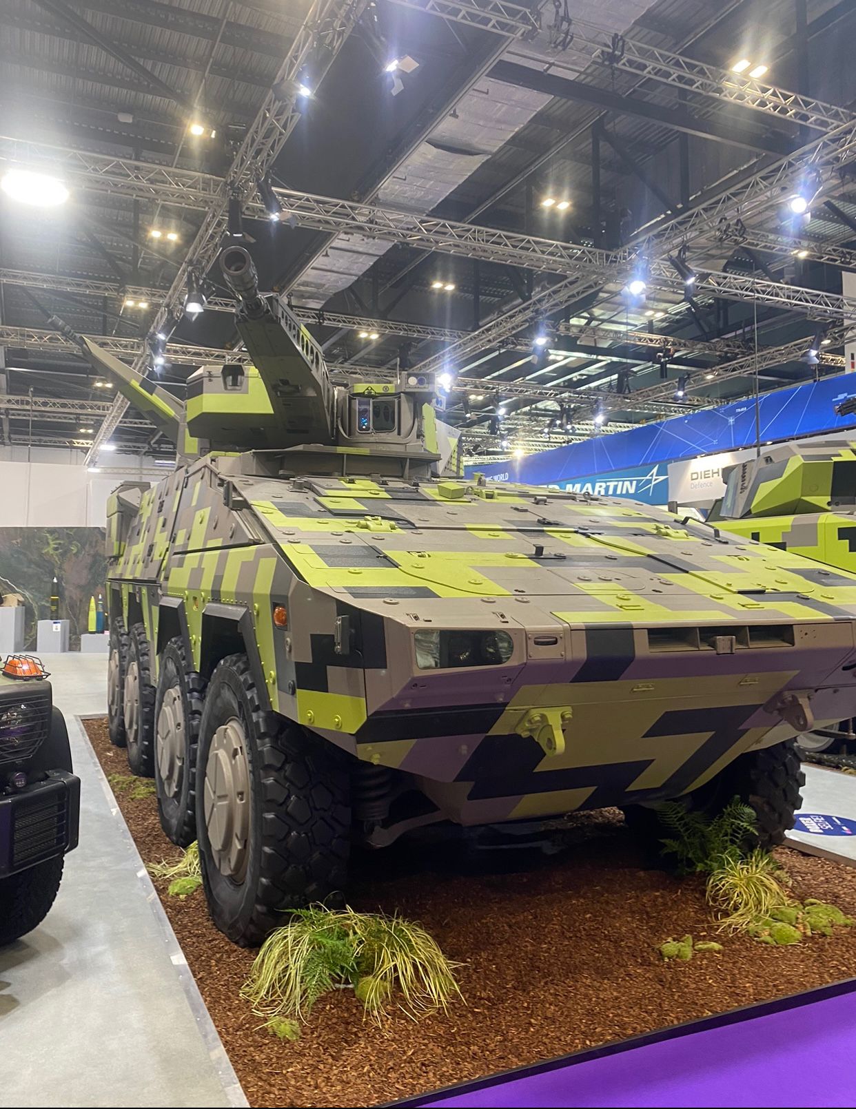 DSEI 23